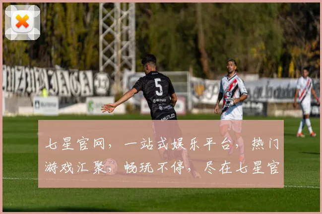 七星官网，一站式娱乐平台，热门游戏汇聚，畅玩不停，尽在七星官网，体验非凡